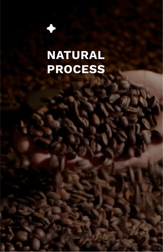 Our Process PT. Gama